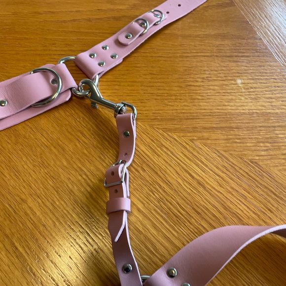 Bleak & Sleek REAL PINK LEATHER Leo Garter belt and garter Size Large - Picture 11 of 12
